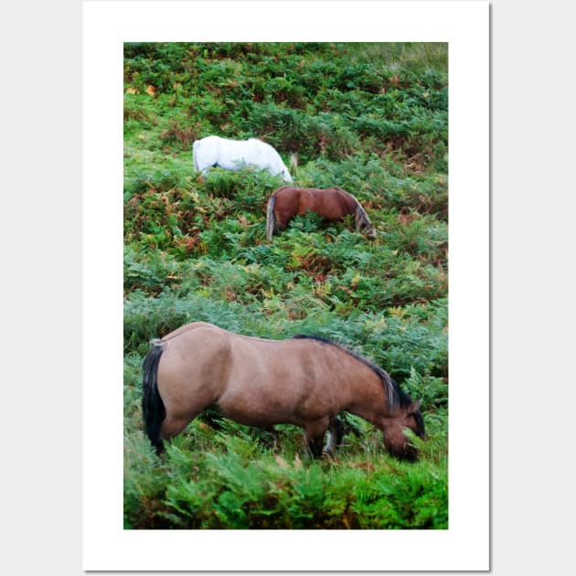 Three horses grazing in the Scottish Highlands Wall Art by richflintphoto